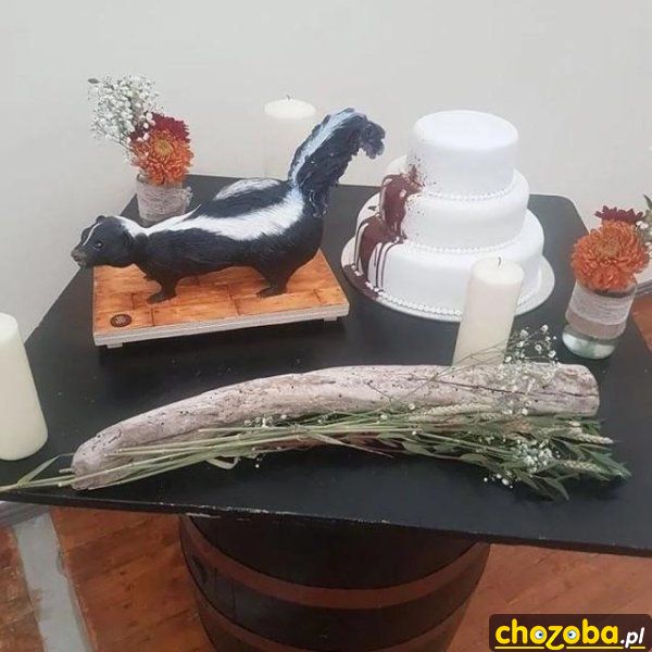 Tort ze skunksem
