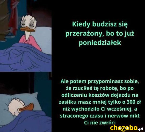 Poniedziałek rano