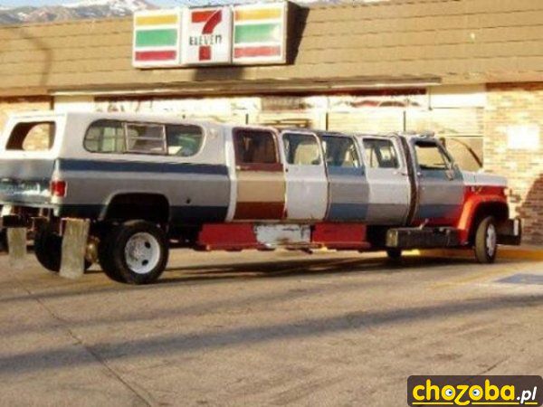 Auto stonoga