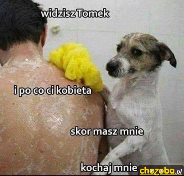 Po co ci kobieta