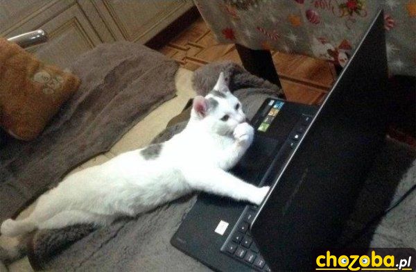 Hmmm