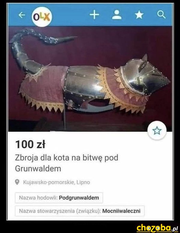 1758048138589246.jpg