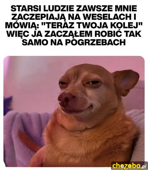 Słodka zemsta