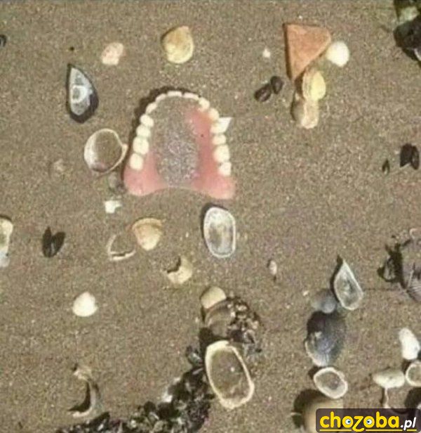 Skarby na plaży
