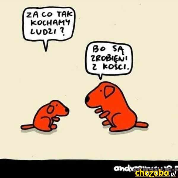 Ludzie z kości