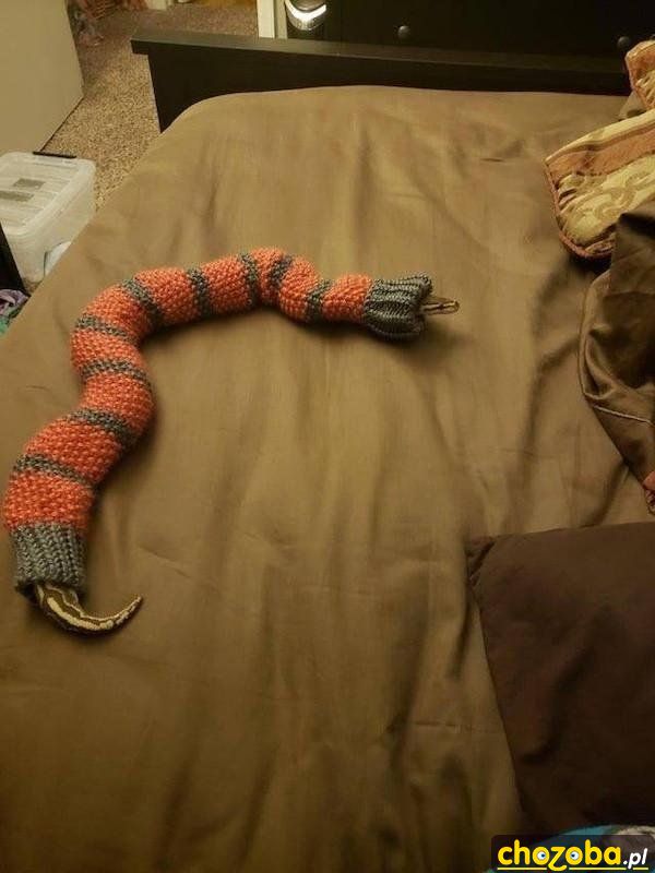 Sweter dla węża