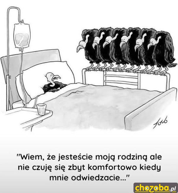 Odwiedziny
