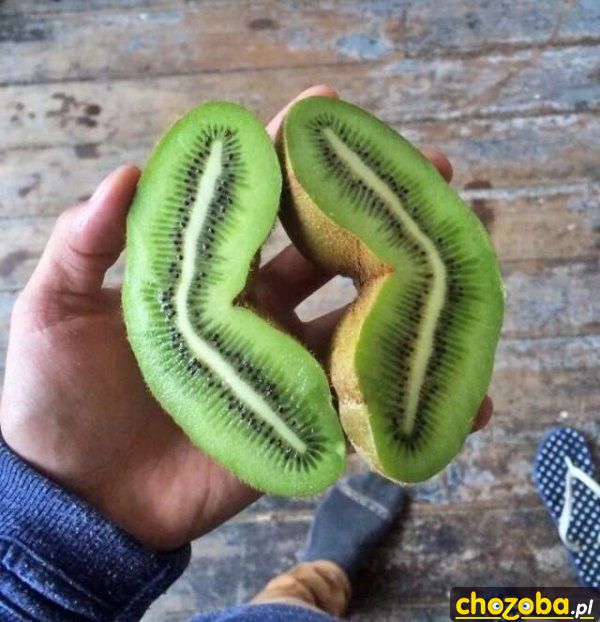 Kiwi syjamskie