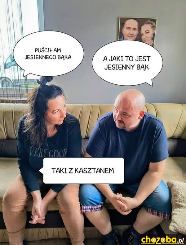 Jesienny bąk