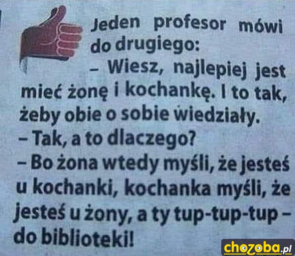 Kochanki profesora