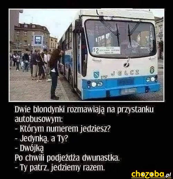 1760351495677917.jpg