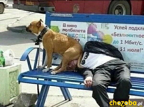 Ciepło w dupkę