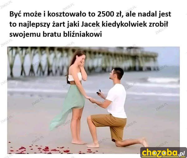 Żarcik
