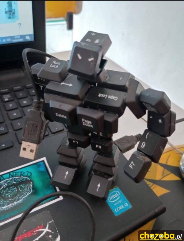 Robot informatyka