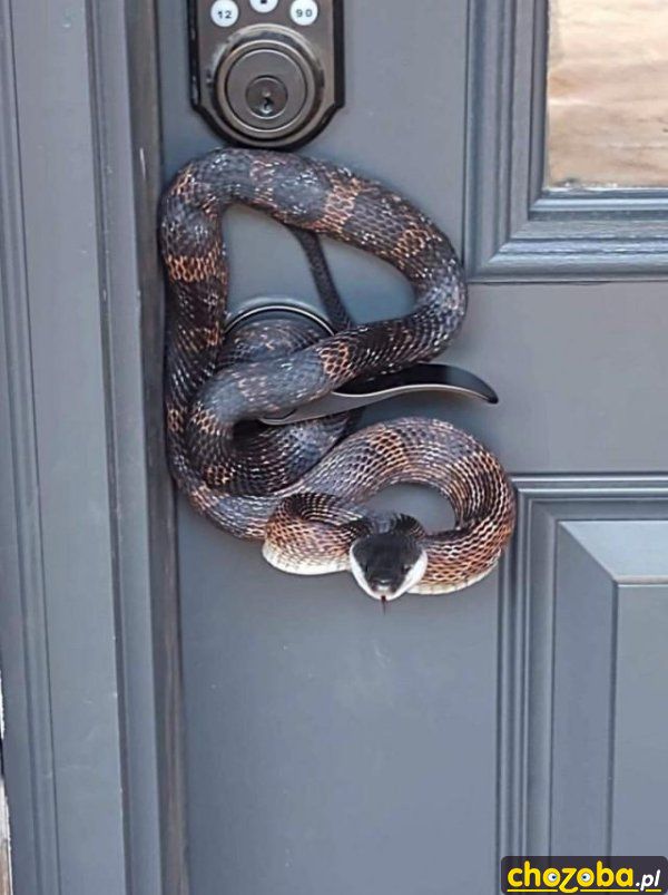 Zapraszam do środka