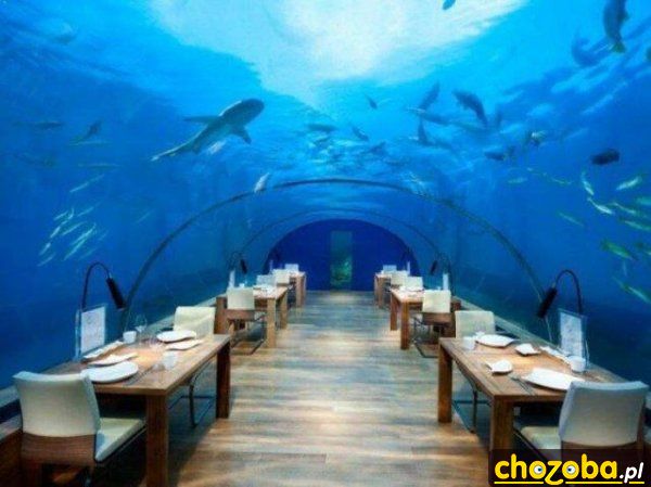 Podwodna restauracja