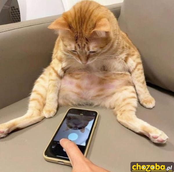 Selfie