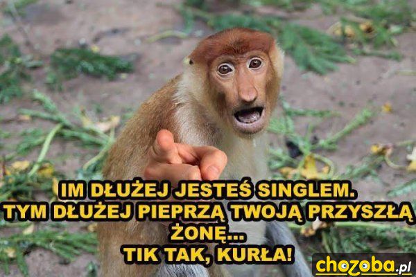 Singiel