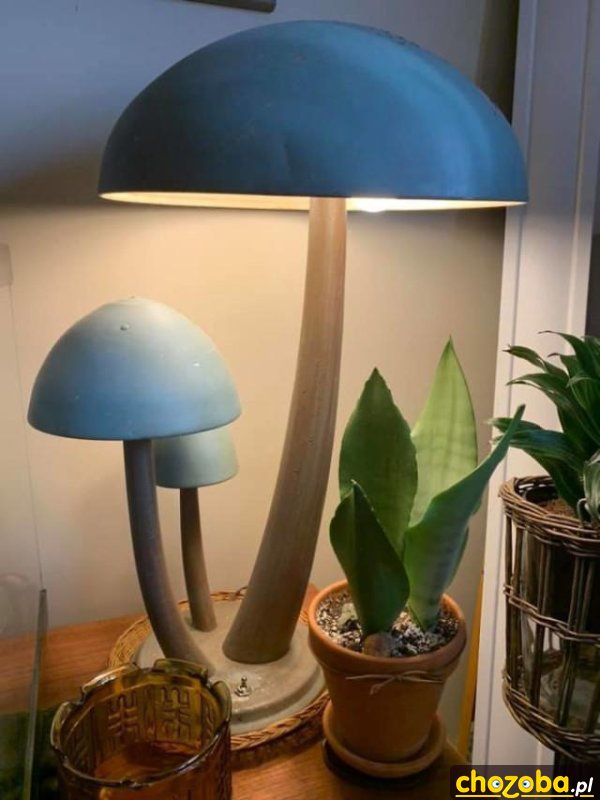 Grzybowa lampka