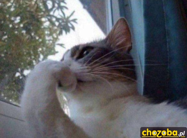 Hmmm