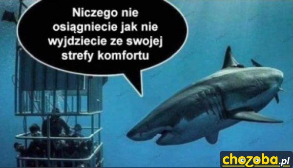 Strefa komfortu
