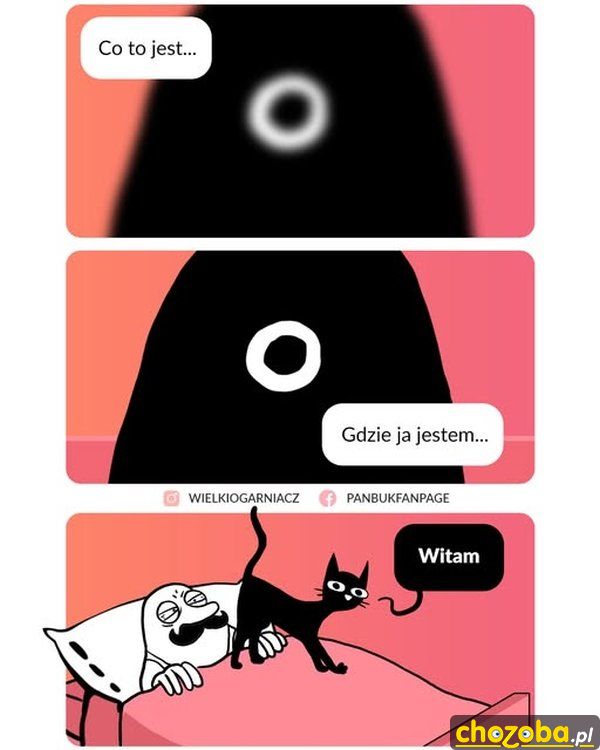 Poranne powitanie
