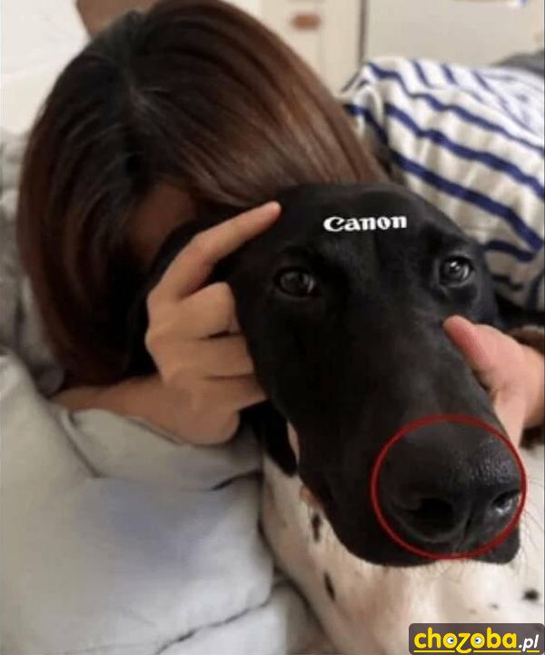 Canon