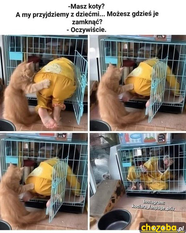 Koty i dzieci