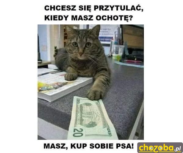 Kup sobie psa