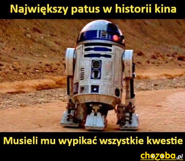 Kinowy patus