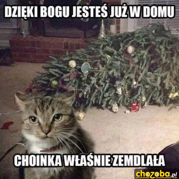 Choinka zemdlała