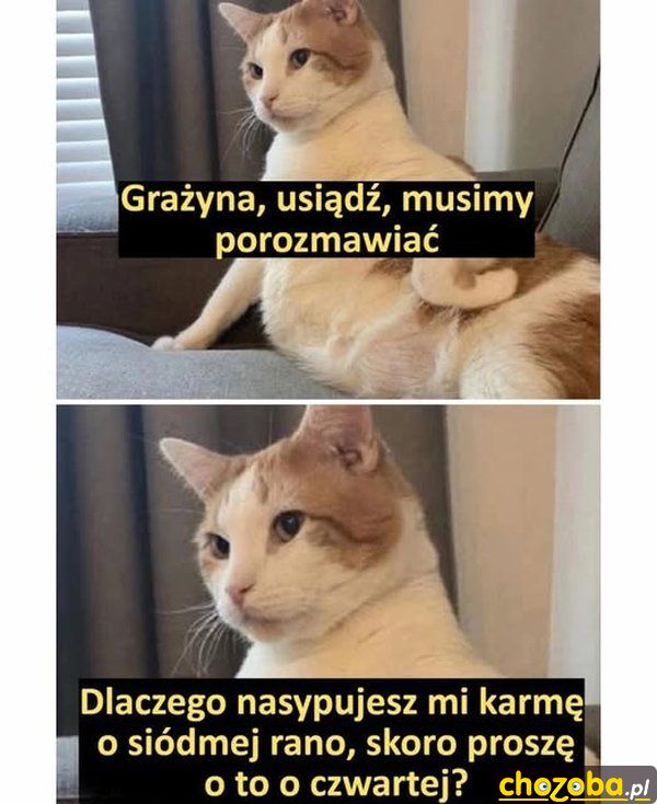 Skarga
