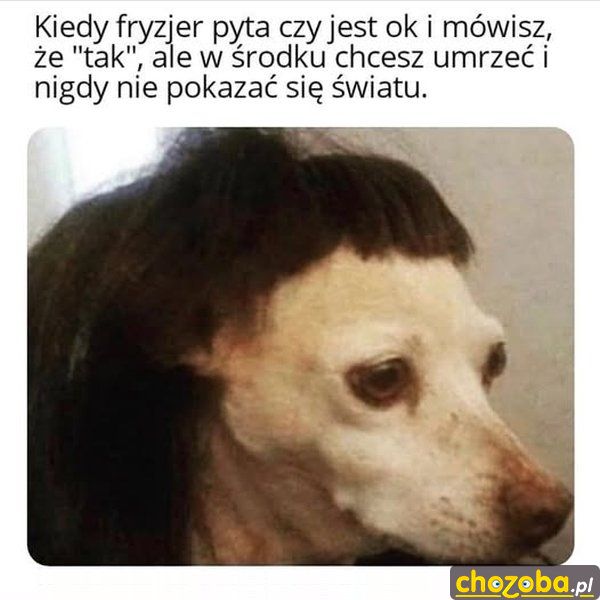 U fryzjera