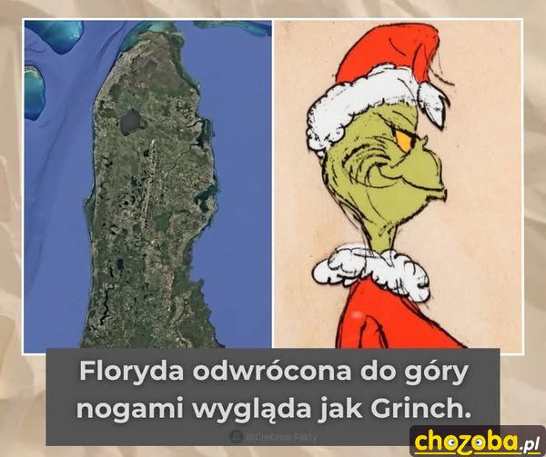 Floryda jak Grinch