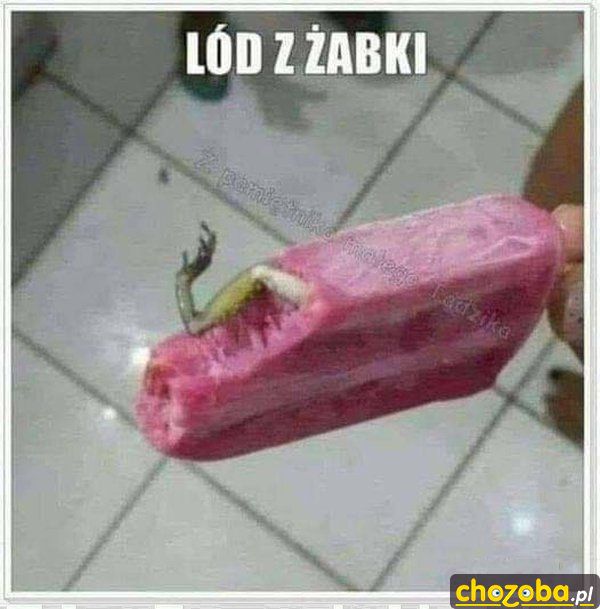 Lód z żabki