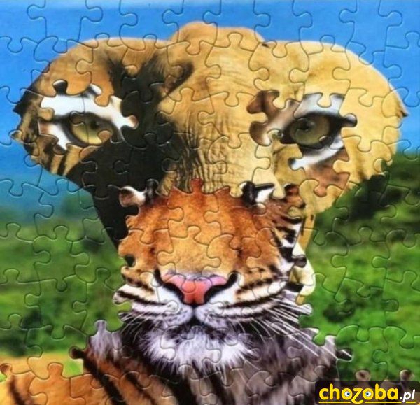 Ułożone puzzle