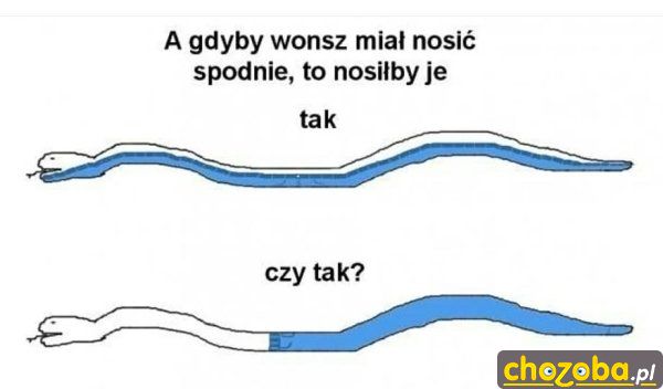 Wąż w spodniach