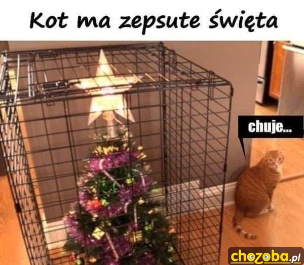 Zepsute święta
