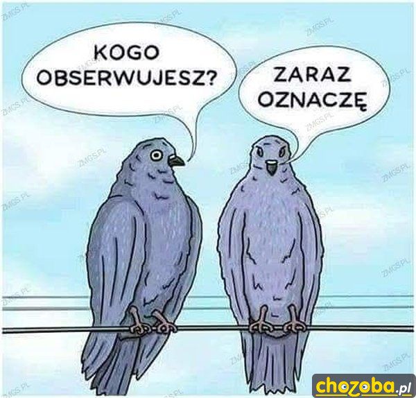 Oznaczenie
