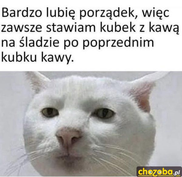 Lubię porządek