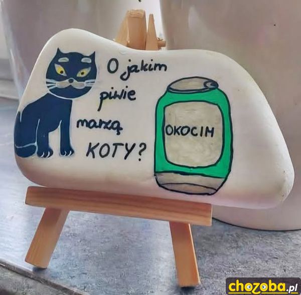 Kocie piwo