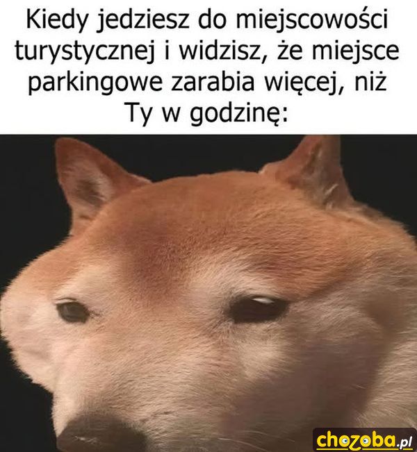 Miejsce parkingowe