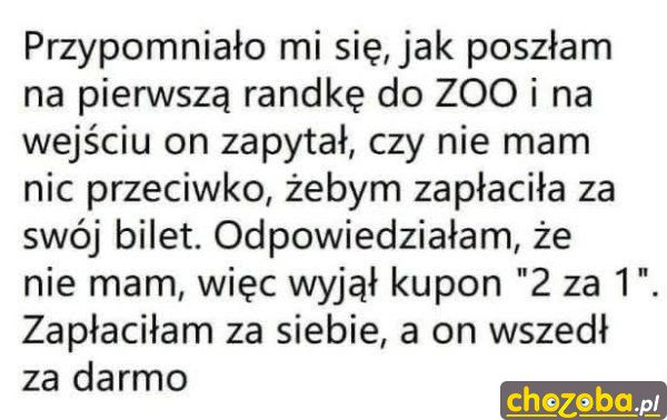Randka w zoo