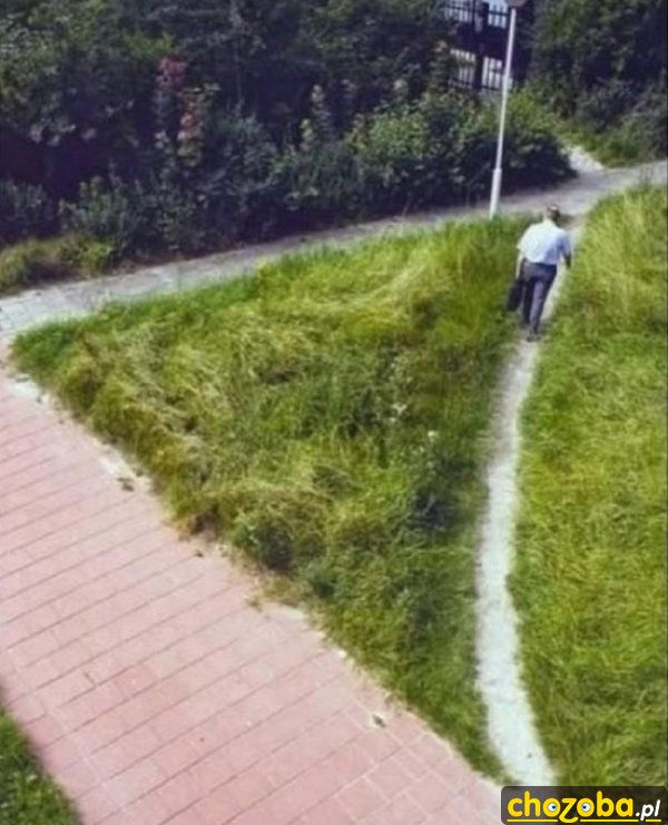 Skrót