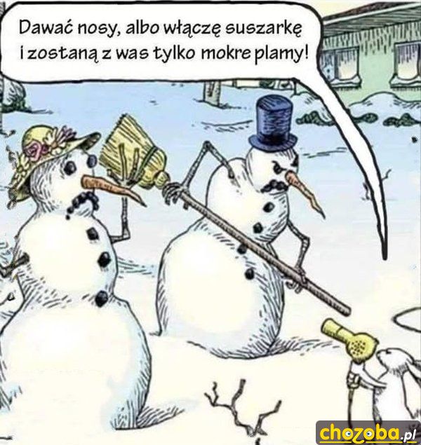 Dawać nosy!