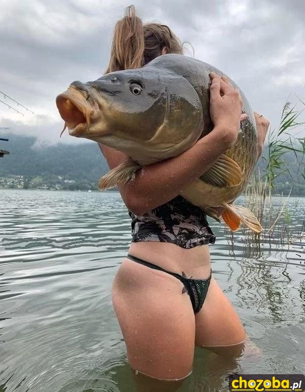 Duża ryba