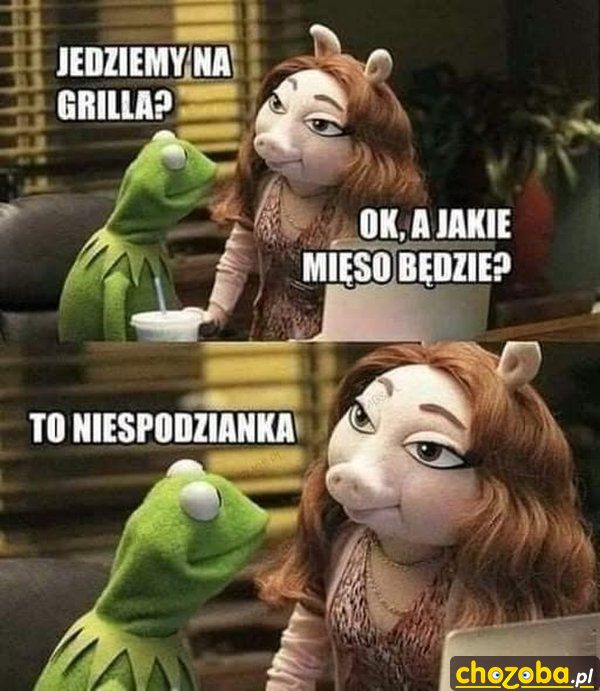 Jedziemy na grila