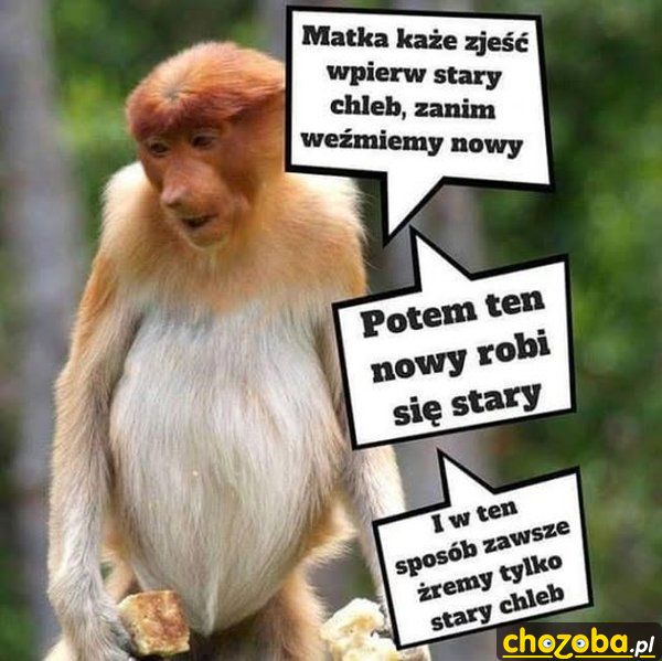 Zawsze stary chleb