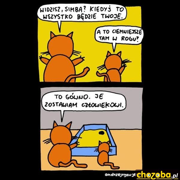 Spadek