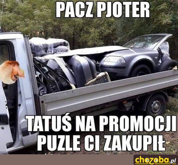 Puzzle od Janusza